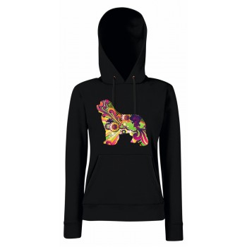 Felpa con cappuccio per bambini con grafica Terranova Newfy Vintage