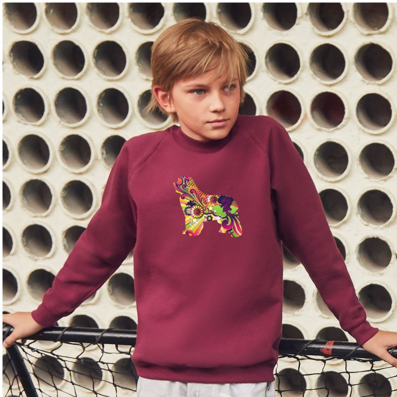 Felpa girocollo per bambini con grafica Terranova Newfy Vintage Felpa girocollo per bambini con grafica Terranova Newfy Vintage