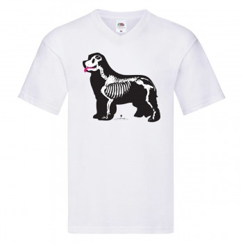 T-Shirt bimbo con grafica Terranova Newfy X Ray