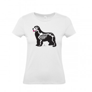 T-Shirt bimba con grafica Terranova Newfy X Ray