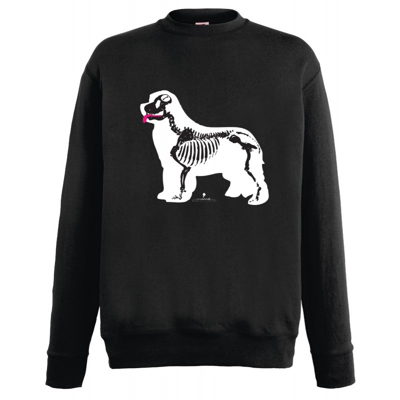 Felpa girocollo bambini con grafica Cane Terranova Newfy X Ray Felpa girocollo bambini con grafica Cane Terranova Newfy X Ray