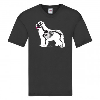 T-shirt scollo a V con grafica Terranova Newfy X-Ray
