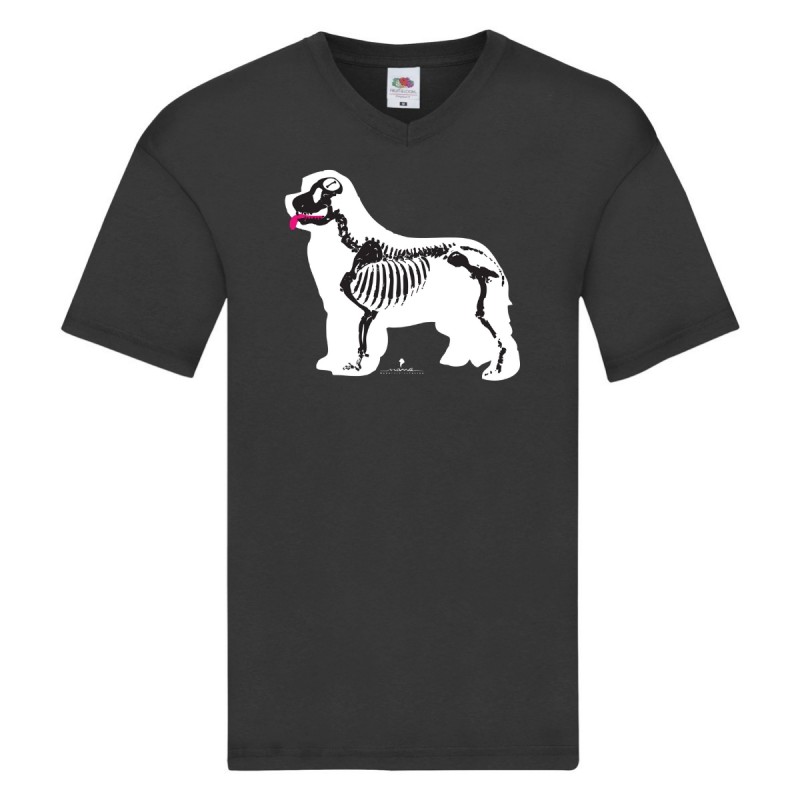 T-shirt scollo a V con grafica Terranova Newfy X-Ray T-shirt scollo a V con grafica Terranova Newfy X-Ray