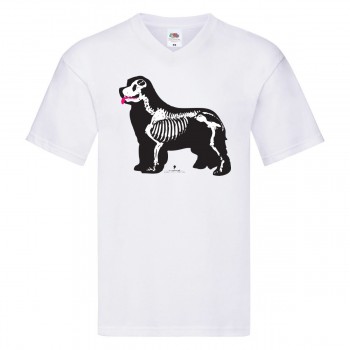 T-shirt scollo a V con grafica Terranova Newfy X-Ray