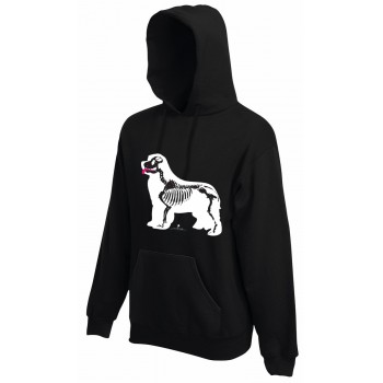 Felpa con cappuccio da uomo con grafica cane Terranova Newfy X Ray